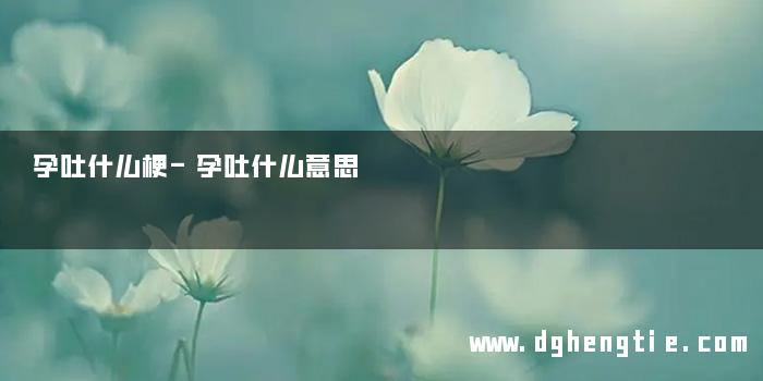 孕吐什么梗-孕吐什么意思 